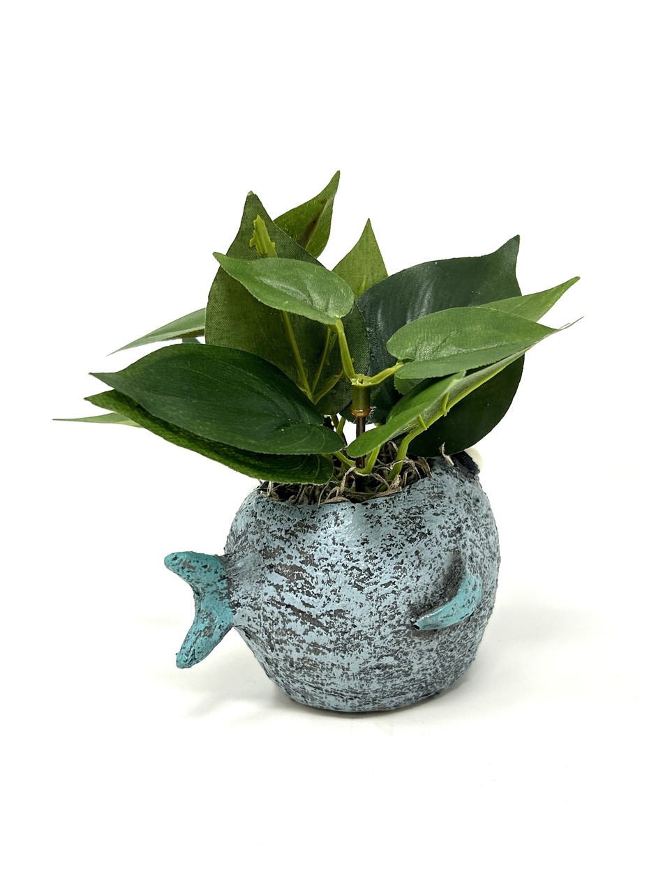 5″ Potted BUBBLES Blue FISH Blob House Mini pot with silk Green Pothos as shown