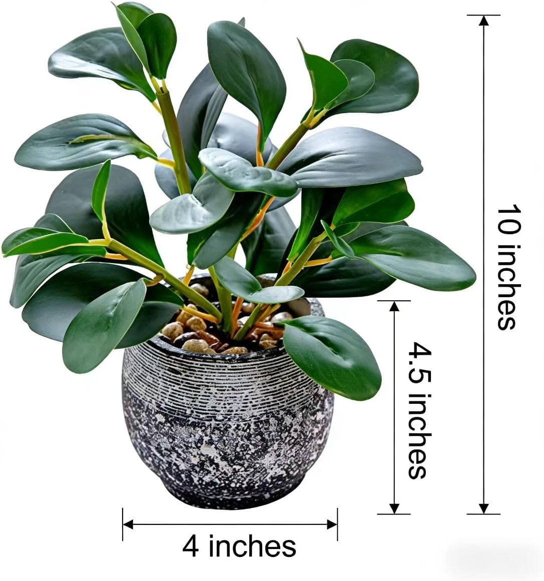 Artificial Plants Potted Real Looking Small Faux Plant with Rustic Black Cement