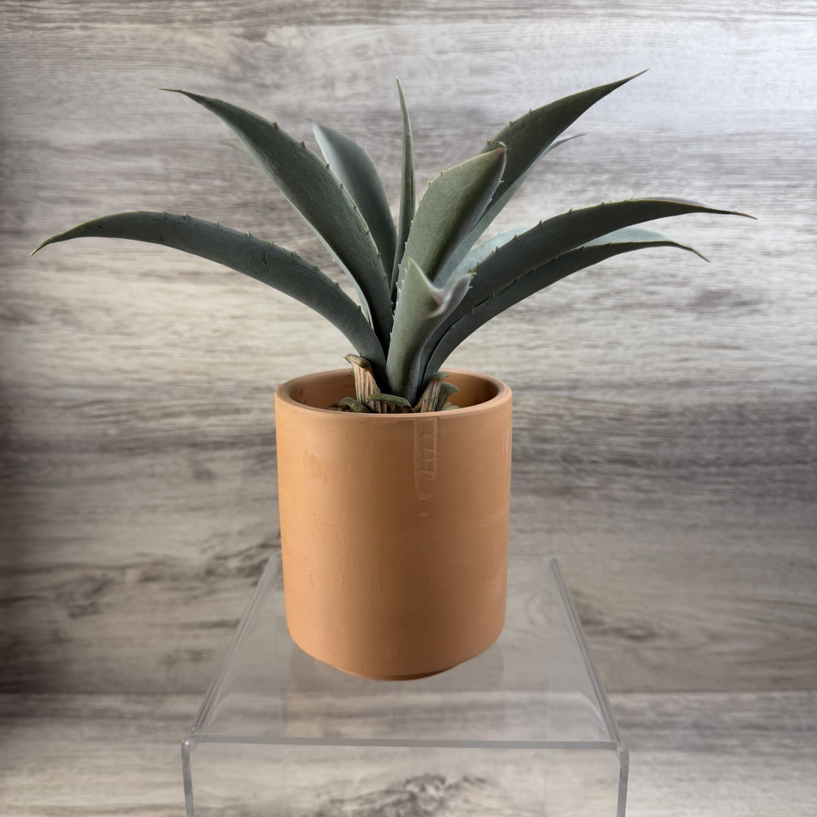 Artificial Faux Fake Blue Agave Plant in Terracotta Pot Desert Bohemian 8” Tall