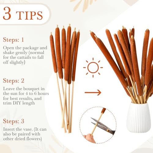 Pcs Large Natural Brown Cattails Flowers 17 Inch Real Dried Cattails Stems 40