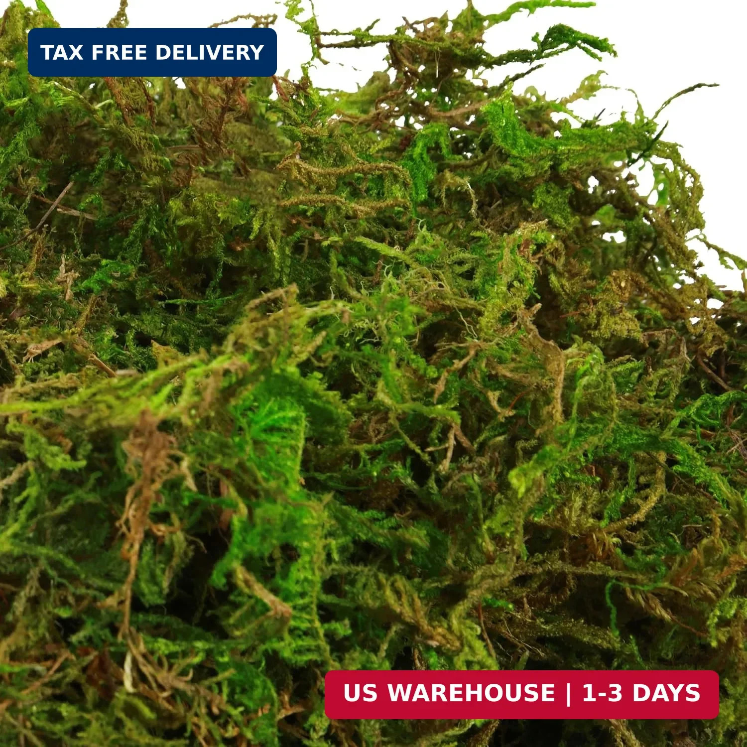 BYHER Fake Moss for Plants Indoor, 16OZ Green Moss for Crafts, Artificial Moss f