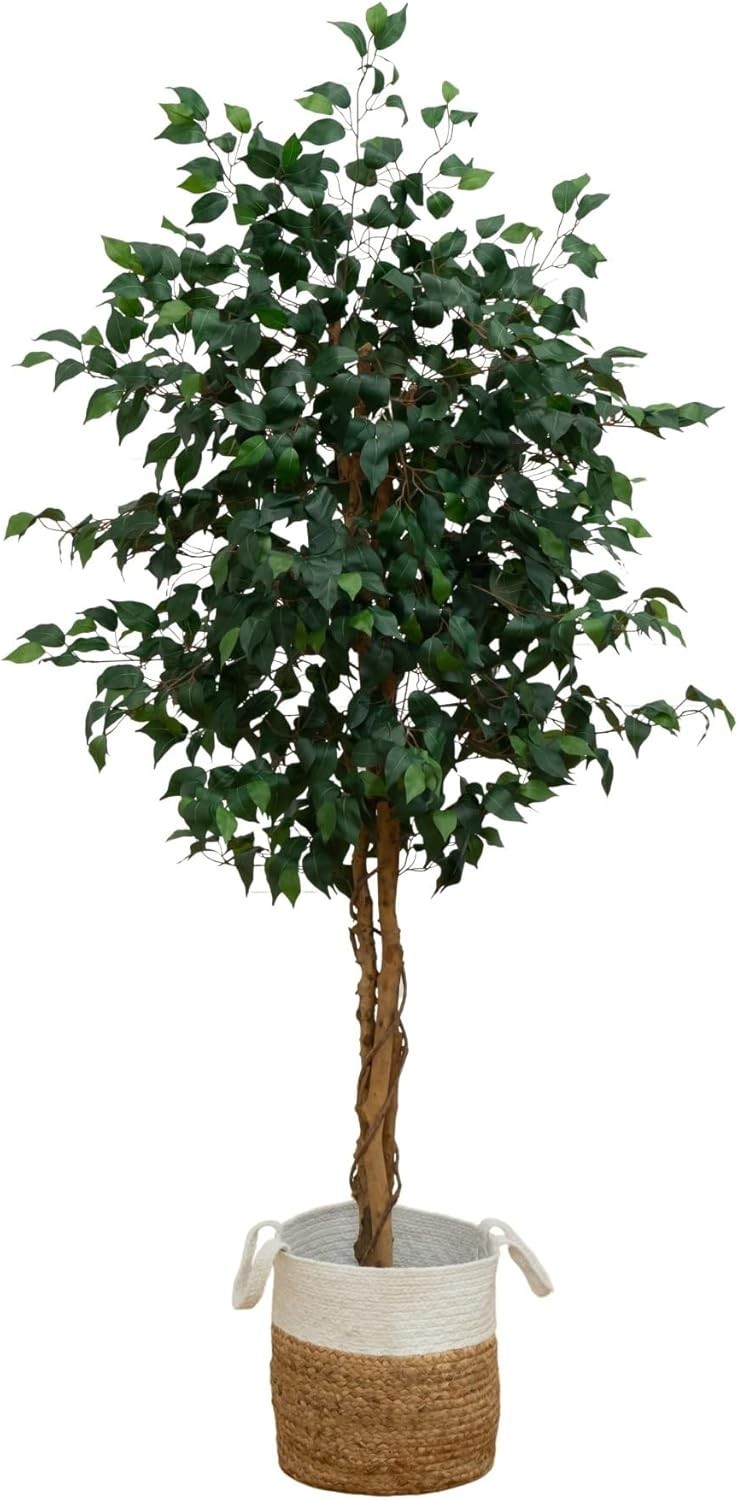 Maintenance-Free 6ft Ficus Tree in Natural Jute Planter – Perfect Indoor Accent
