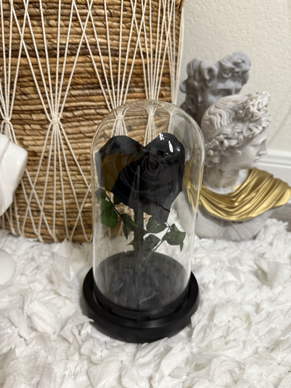 Black Real Rose Preserved Shabby Chic Boho Glass Dome Victorian Gothic Belle
