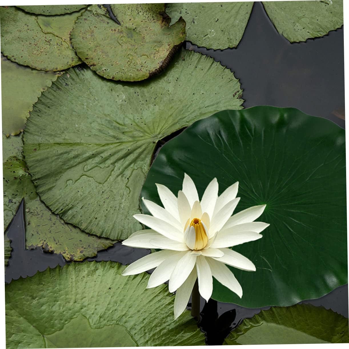 DOITOOL Artificial Lily Pads for Koi Pond: 3 Pcs Artificial Floating Foam Lotus