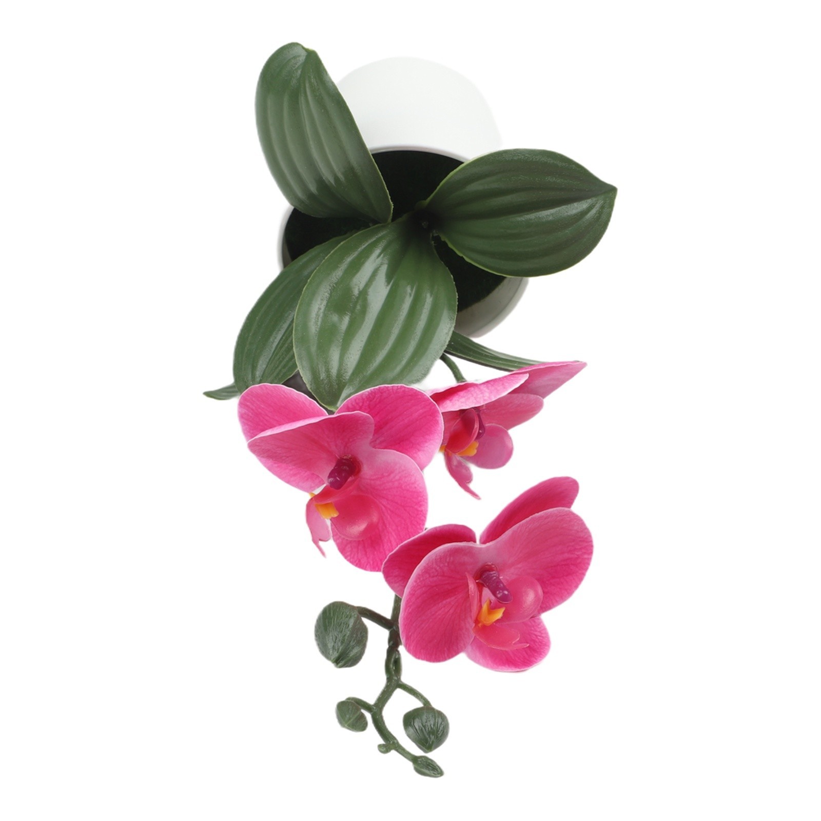 Phalaenopsis Bonsai Decorative Faux Plant Table Decoration Long-lasting Beauty