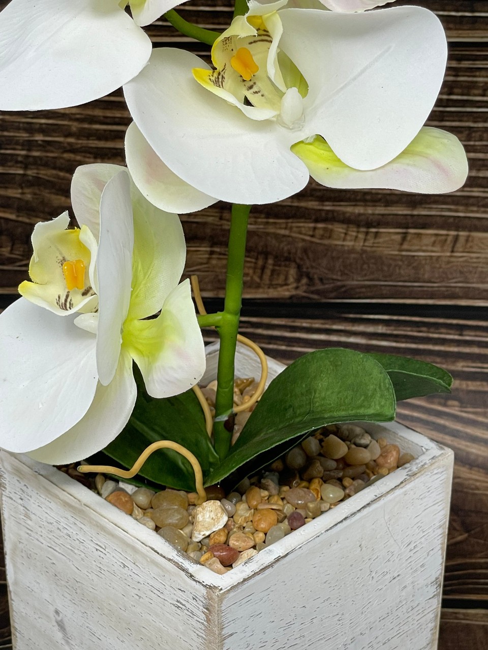 16″ Potted White PHALAENOPSIS ORCHID faux Silk flower plant in White wood box