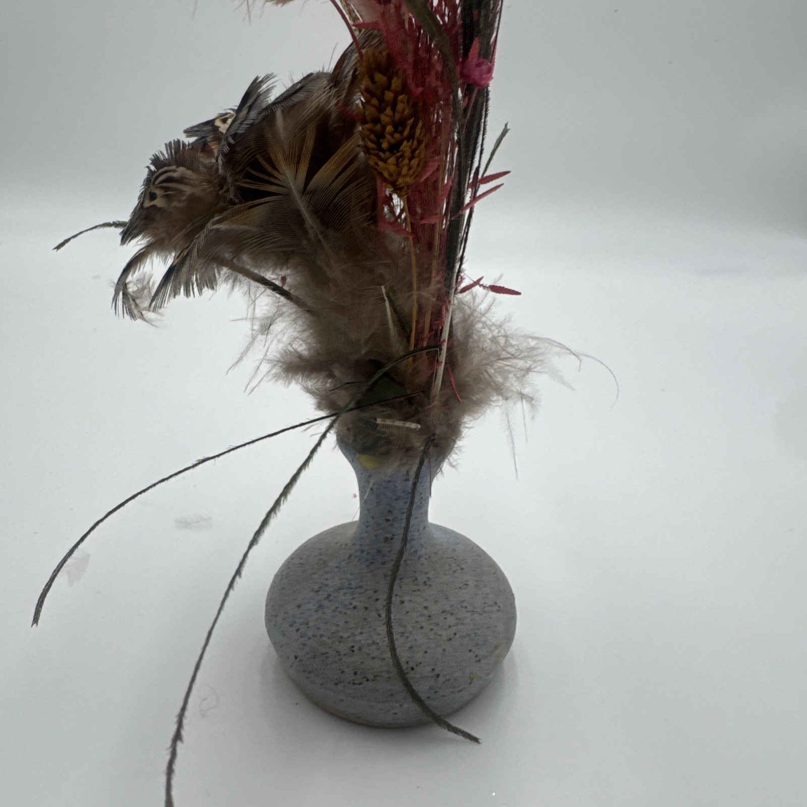 Boho Dried Floral Arrangement with Peacock Feathers & Vase Plush Bird feathers