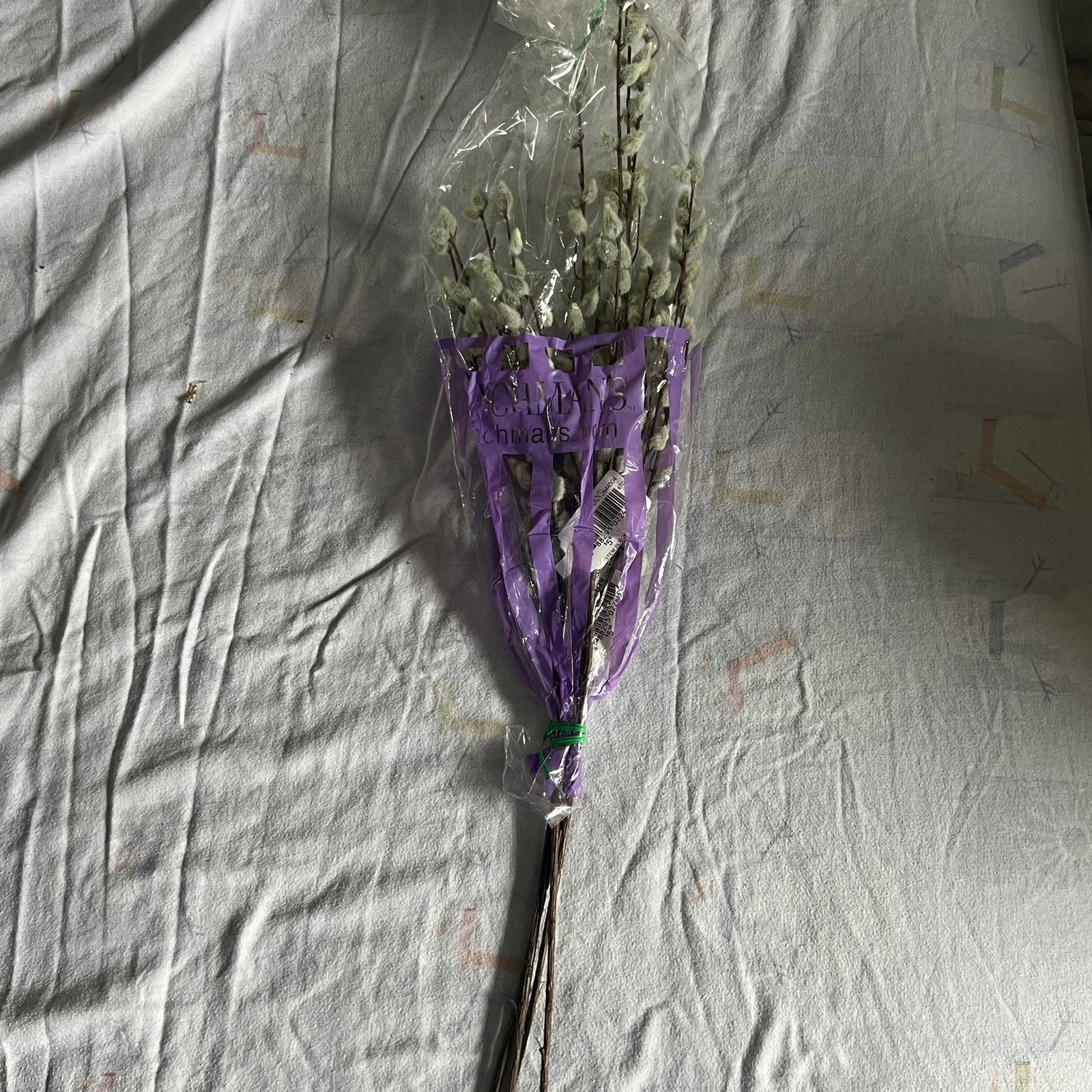 Bachman’s Pussy Willow Stems Unisex 31in Brown Brand New 4 Count Floral Decor