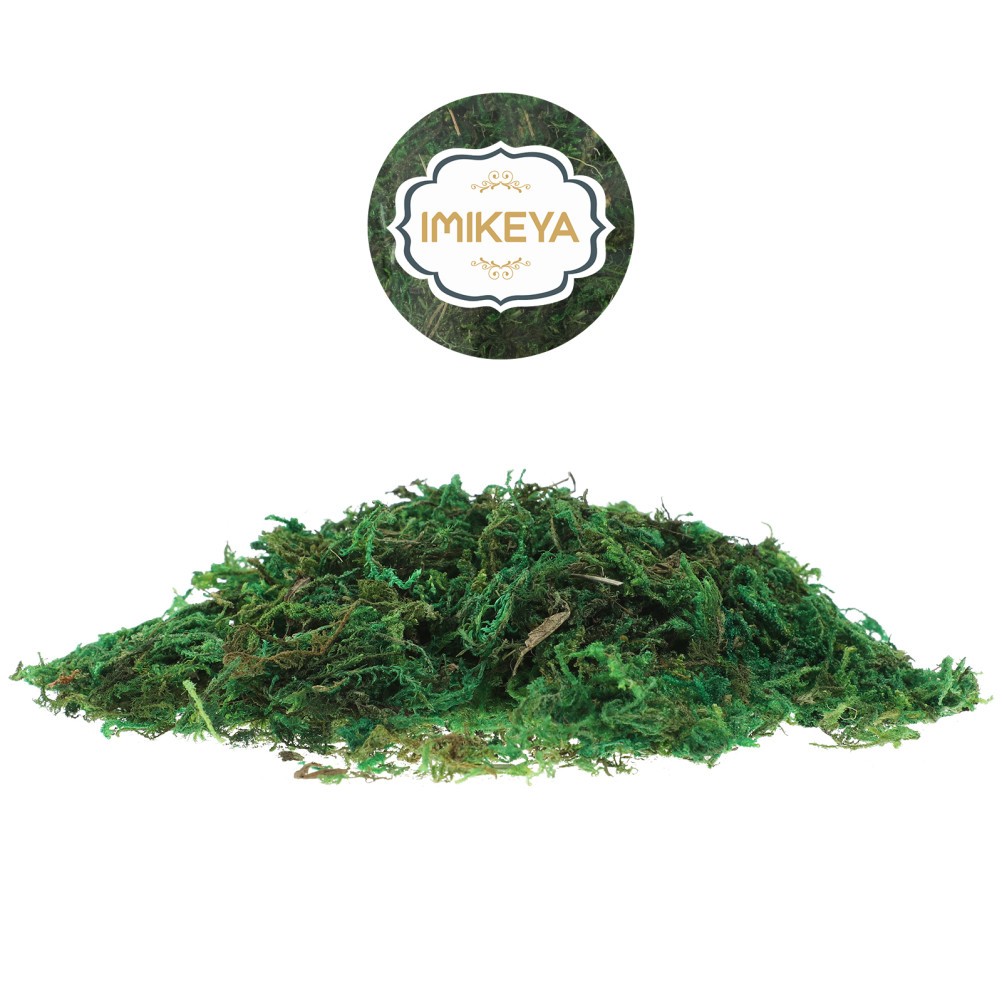 1 Pack Reusable Artificial Moss for Potted Plants Garden Decorative Green