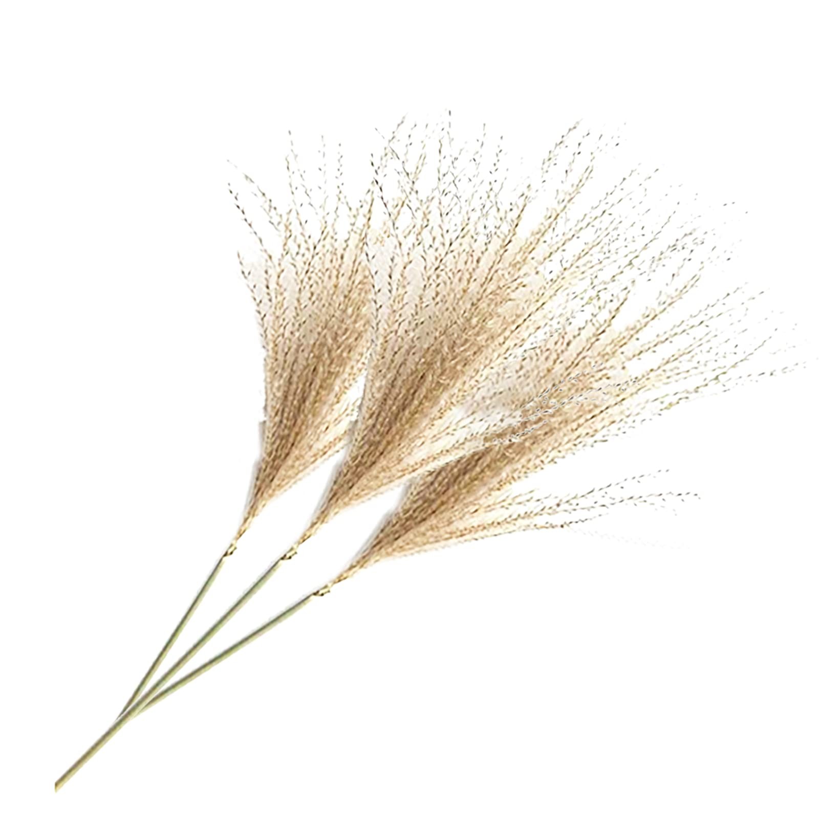 300Pcs Natural Dried Pampas Grass Plume 17inch Tall Dried Flowers Bulk Reed D…