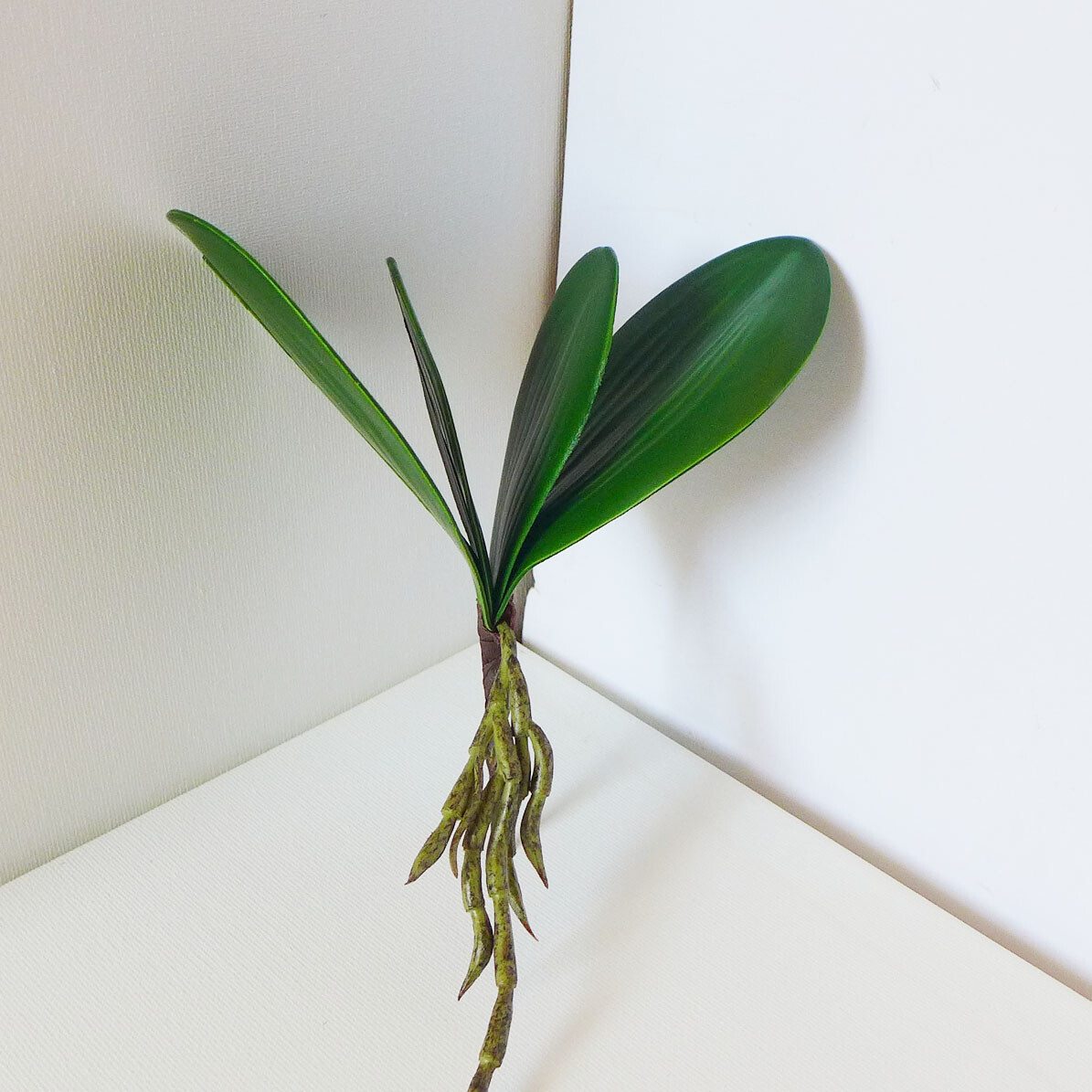 Artificial Plants Butterfly Orchid Real touch Leaf Phalaenopsis Grass (3 sizes)