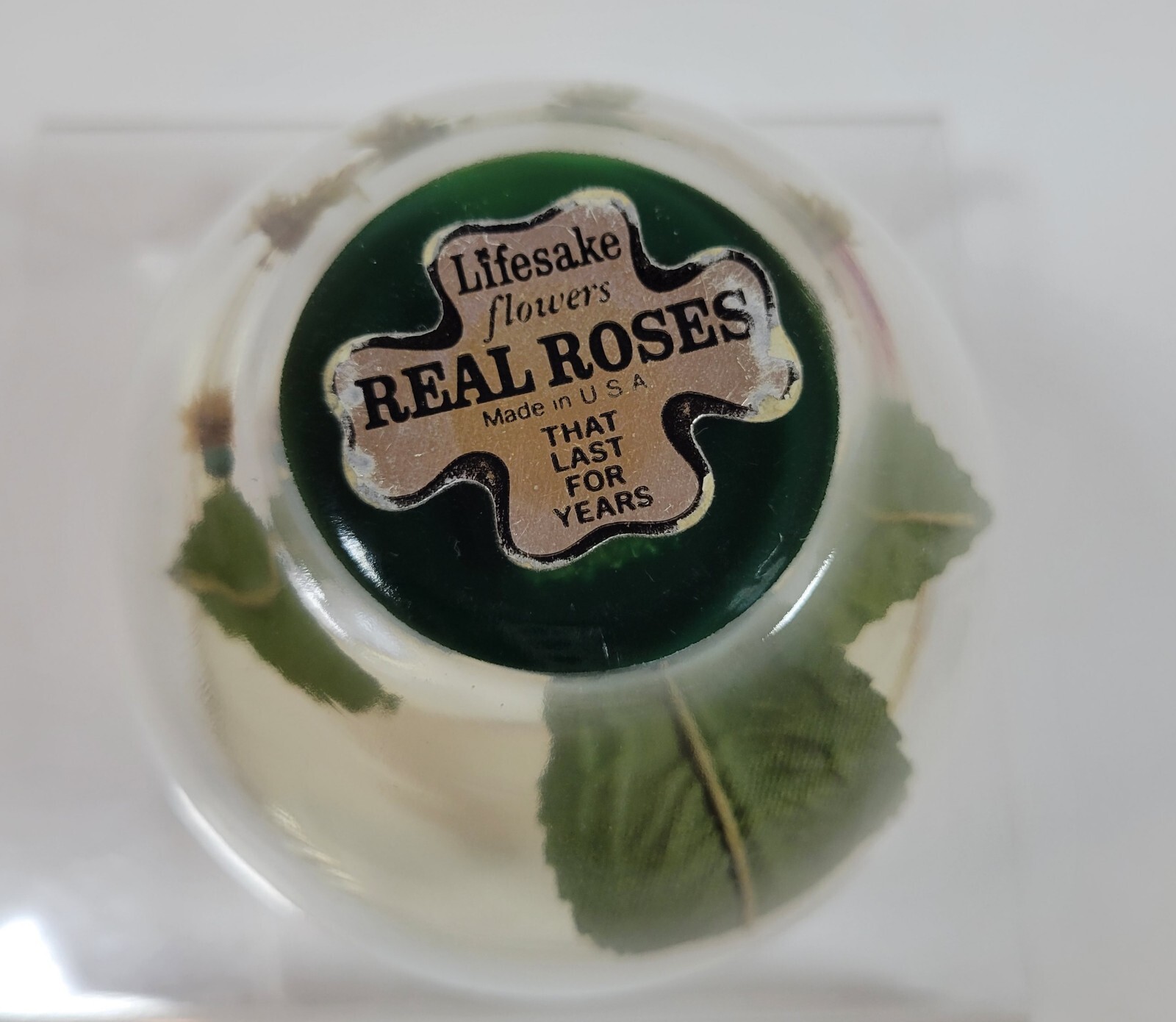 Valentine’s Day Preserved Roses Red Roses Preserved Flower Rose Gift in Glass