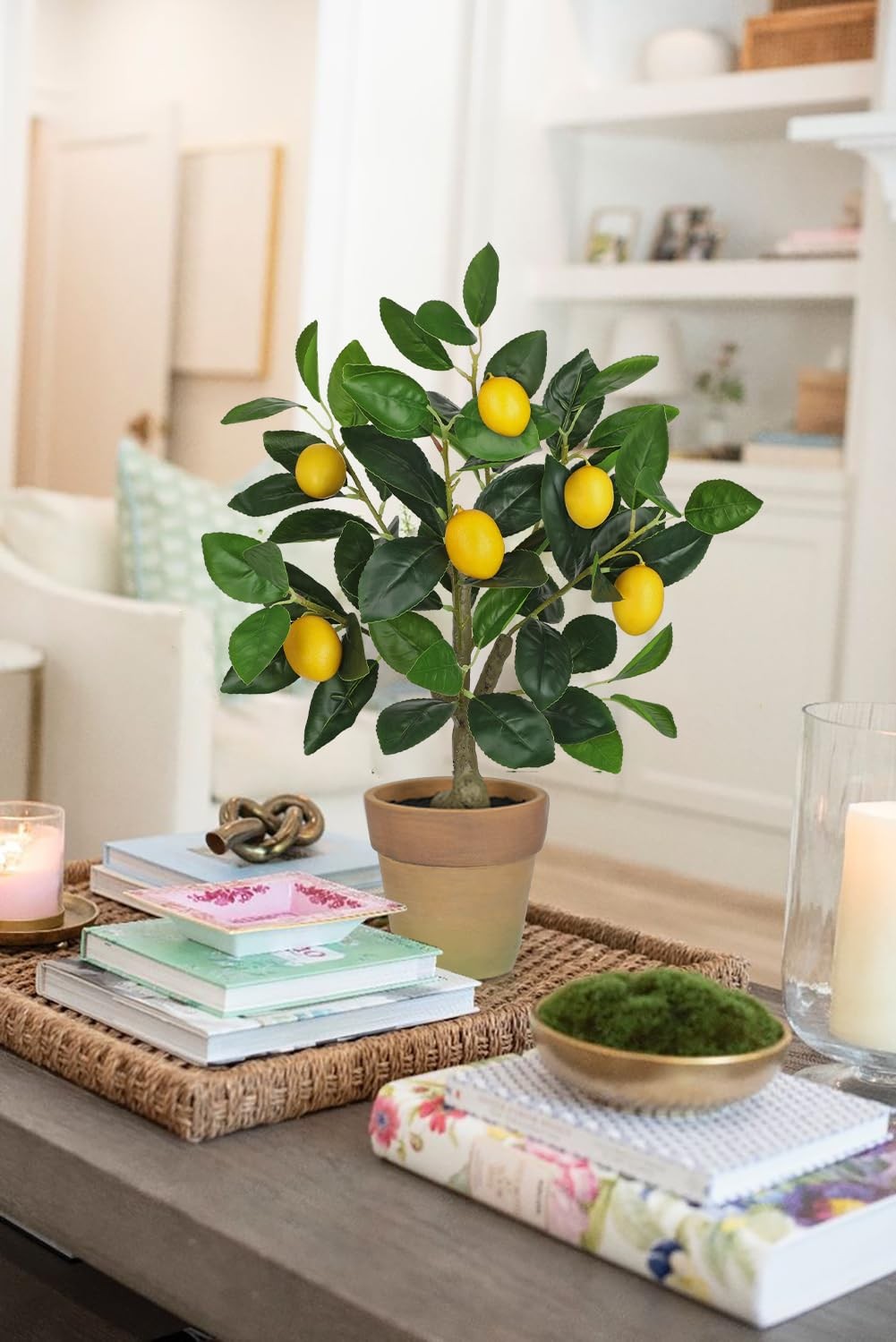 Artificial Potted Plants 19.7 Inch Small Fake Lemon Tree Terracotta Pot Faux