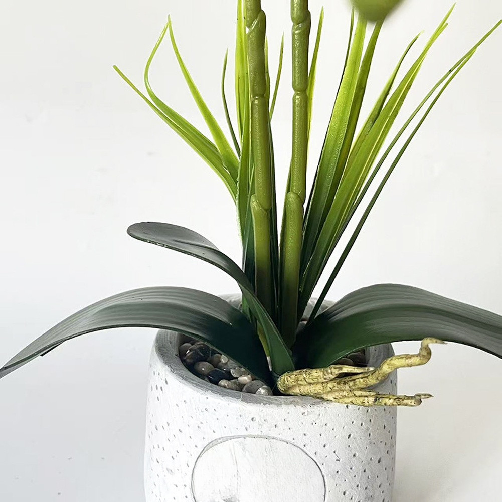 24-Head Artificial Orchid with Delicate Buds and Leaves in Speckled Pot