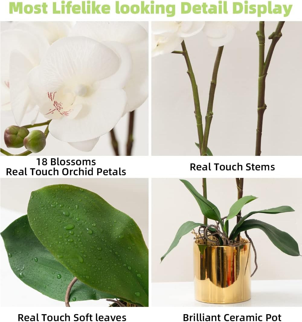 Real Touch White Orchid Arrangement in Ceramic Vase – 19.7” Home Decor