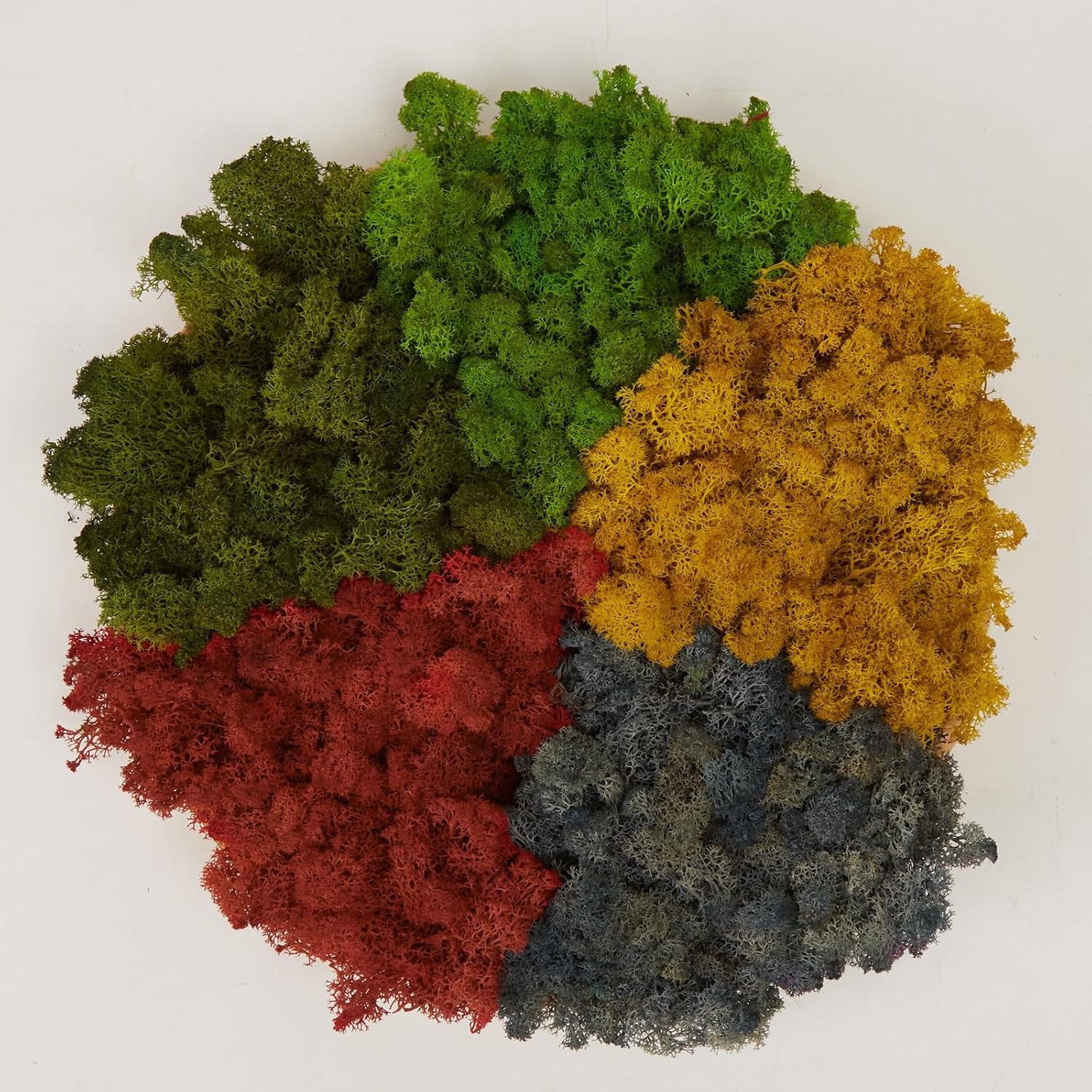 Natural Reindeer Moss DIY Kit 1 lb Color Mix Green Wall Decor Artificial