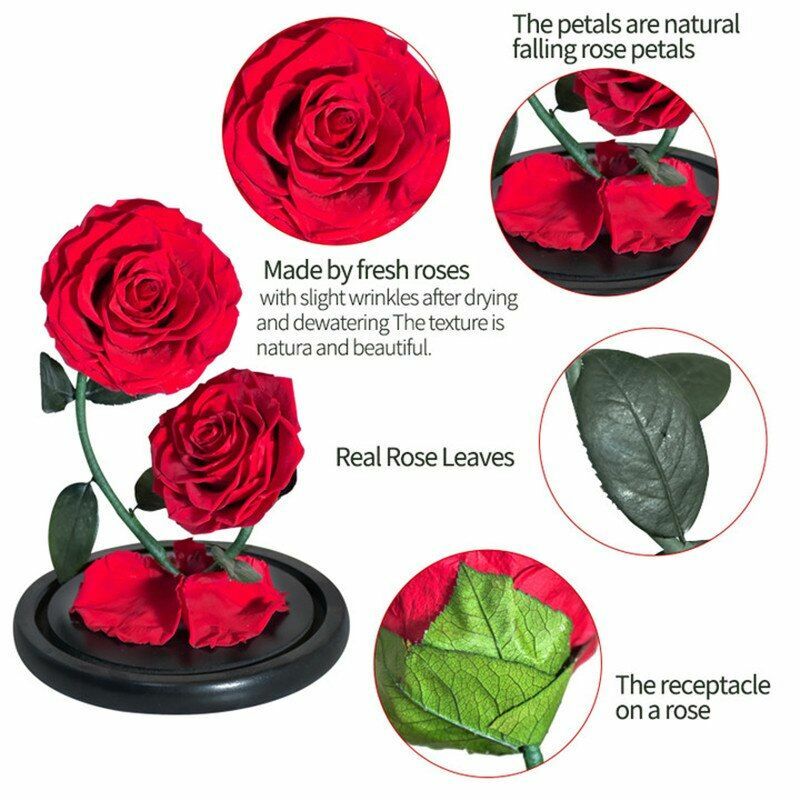Eternal Flower Rose In Glass Valentine Birthday Wedding Gift For Surprize Womens