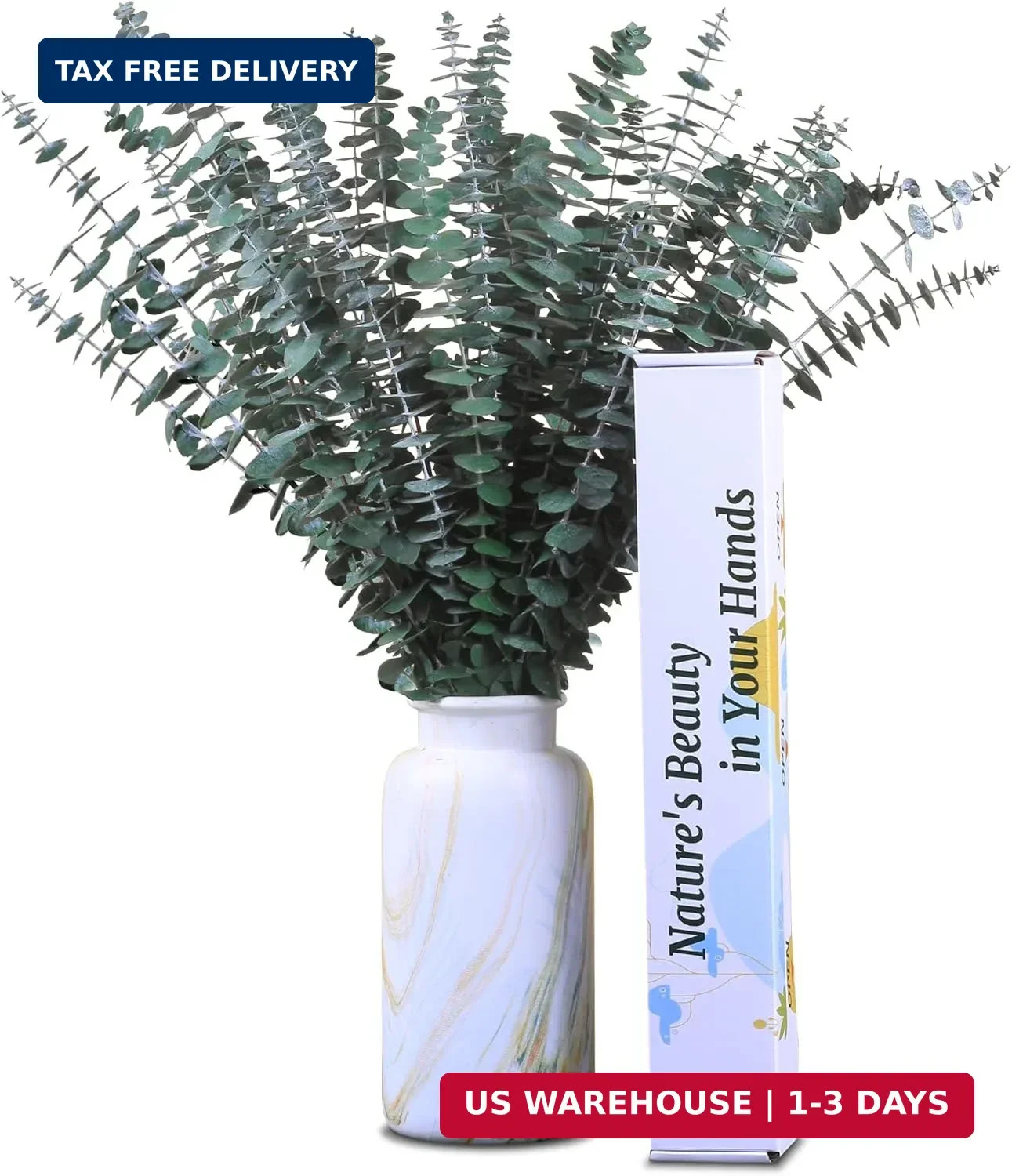 30Pcs Dried Eucalyptus Stems, 17″ Real Preserved Eucalyptus Plant for Shower, Fr