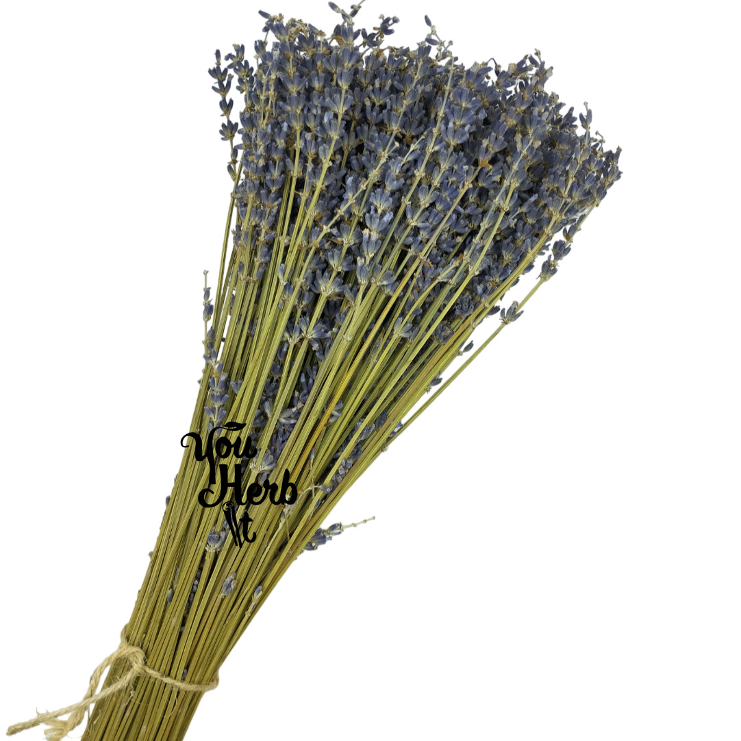 Lavender Dried Whole Bundles 1-12 Bundles – Lavandula Officinalis