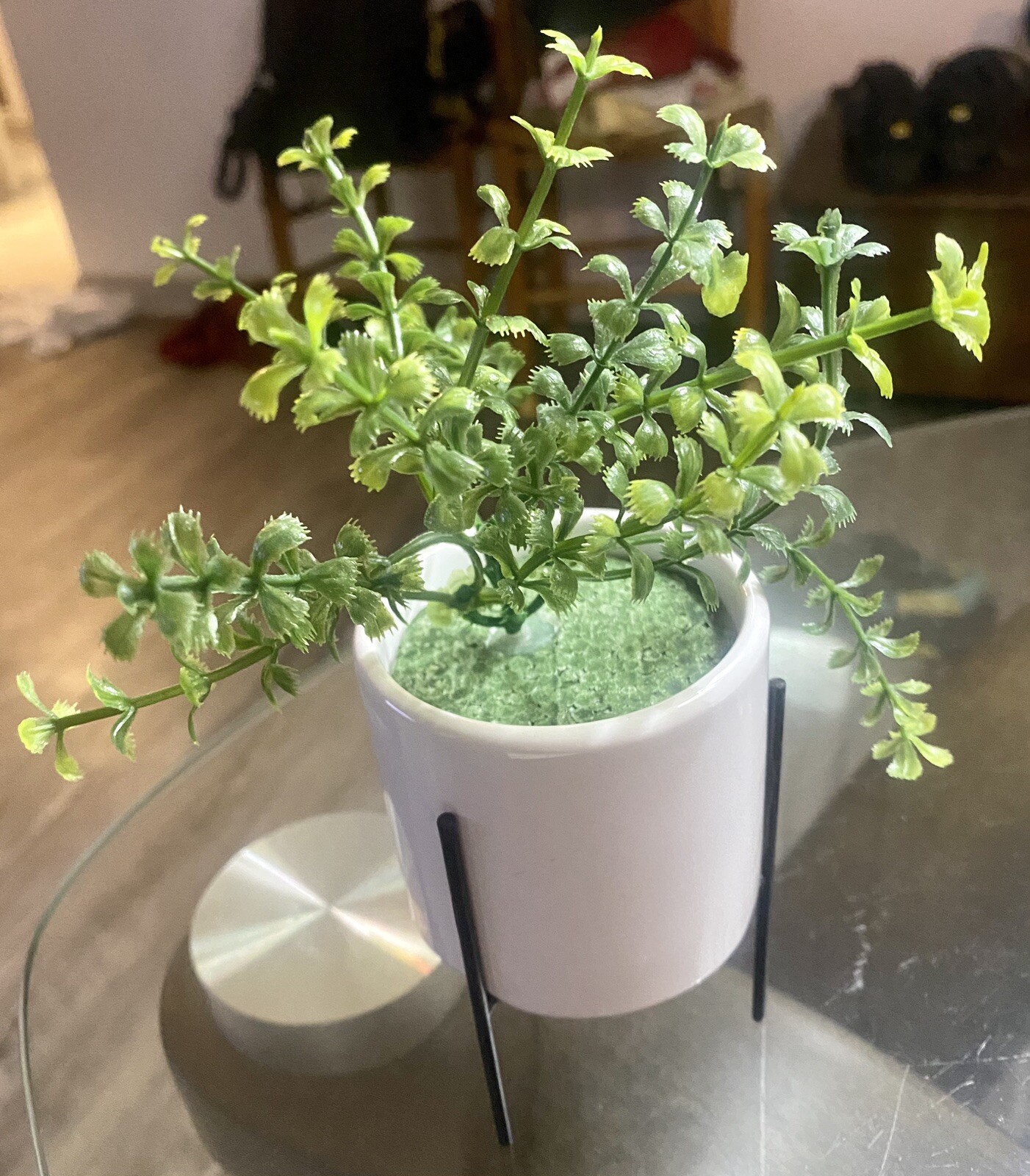 Artificial Succulent In white Ceramic Planter 4′ Pot with Iron StandNew