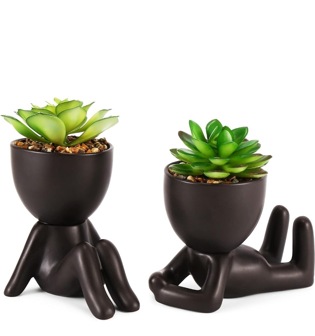 Fake Succulents, Artificial Plants Succulents in Black Modern Human Shaped