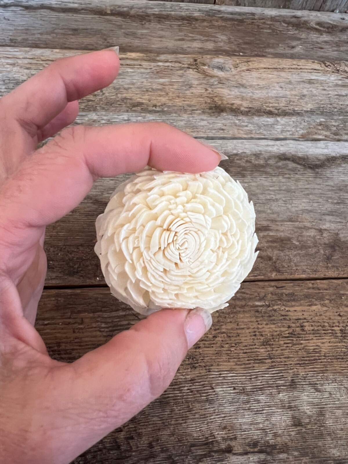 Chorki Belly Sola Wood Flowers – Set of 50 – Craft Flowers