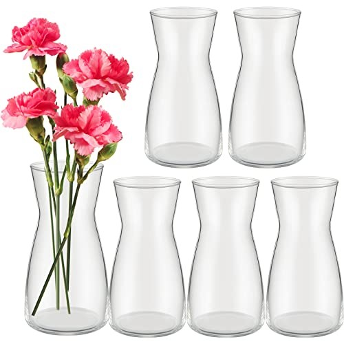 6 Pcs 8” Tall Flower Vase Wide Mouth Crystal Glass Boho Decorative 1 Clear