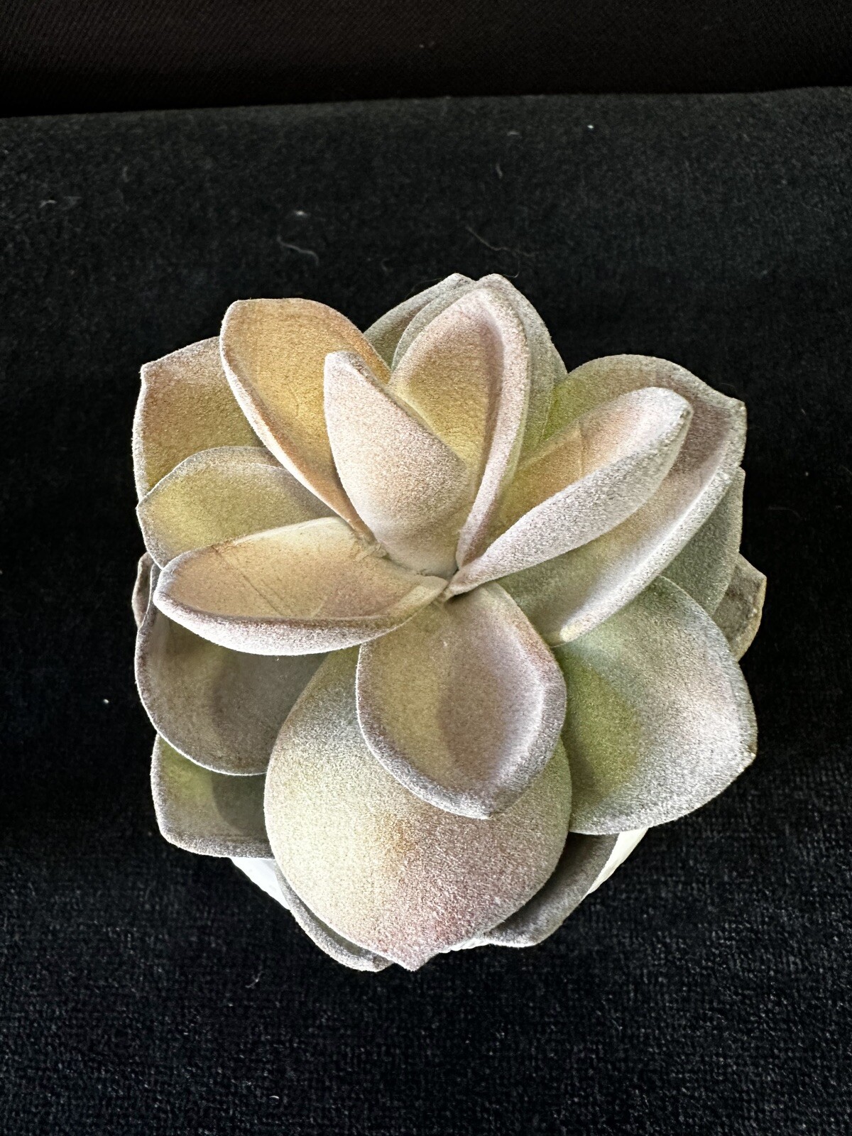 Artificial Succulent Plants in White Ceramic Pot Very Nice Condition