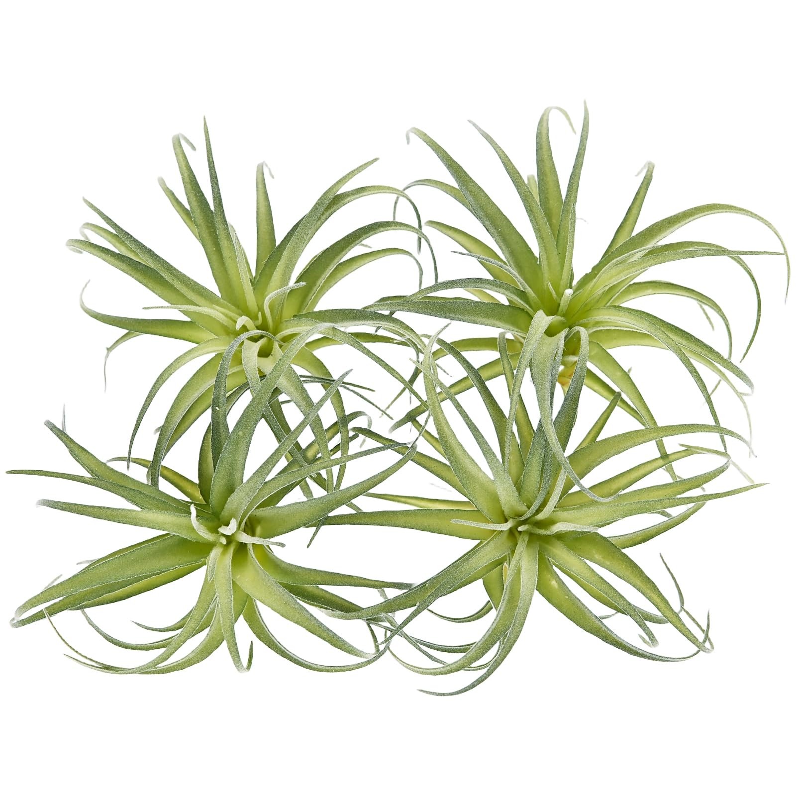 Fake Artificial Tillandsia Air Plants, 4pcs Flocked Green Faux Bromeliads for…