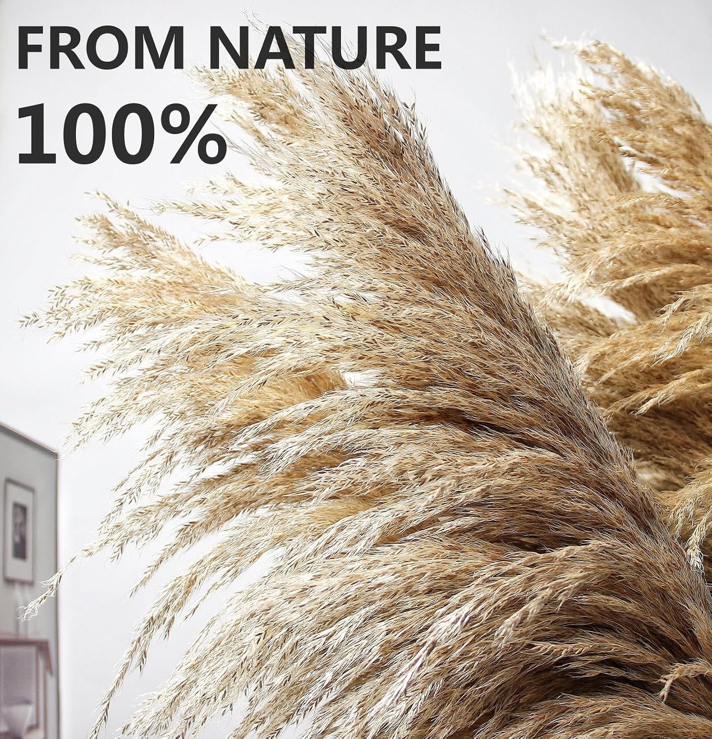 40″ Pampas Grass Bouquet – Set of 10 Stems