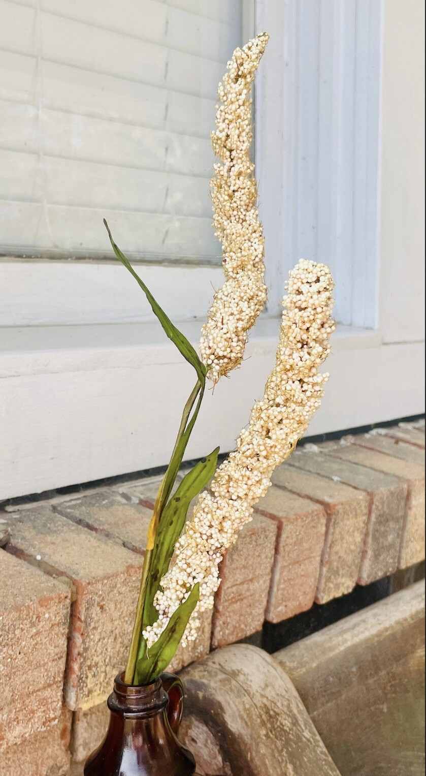 Cream Millet Stem, 30” Bundle Of 3