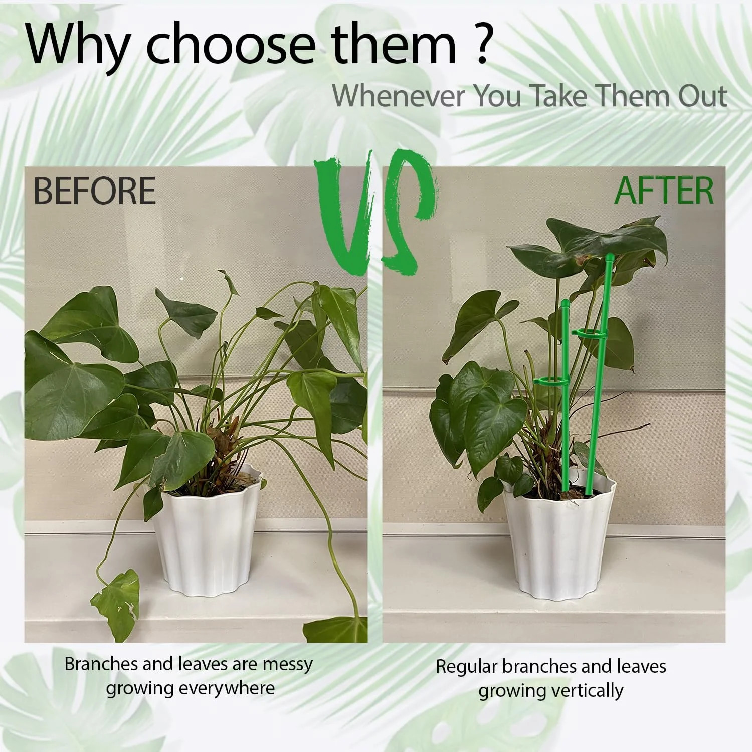 Plant Stakes,MAFONE 10Pcs 15In Monstera Plant Support Orchid Sticks Extended to
