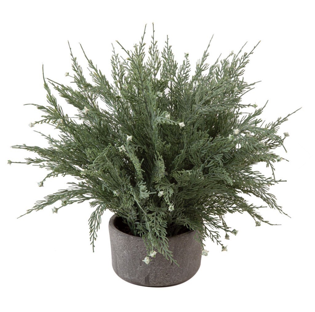 Artificial Cypress Pot Decorative Farmhouse Country Cottage Potted Plant 13”H