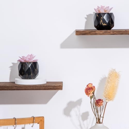 Artificial Succulent Plants in 2 Ceramic Pots, Cute Fake Plants for Black