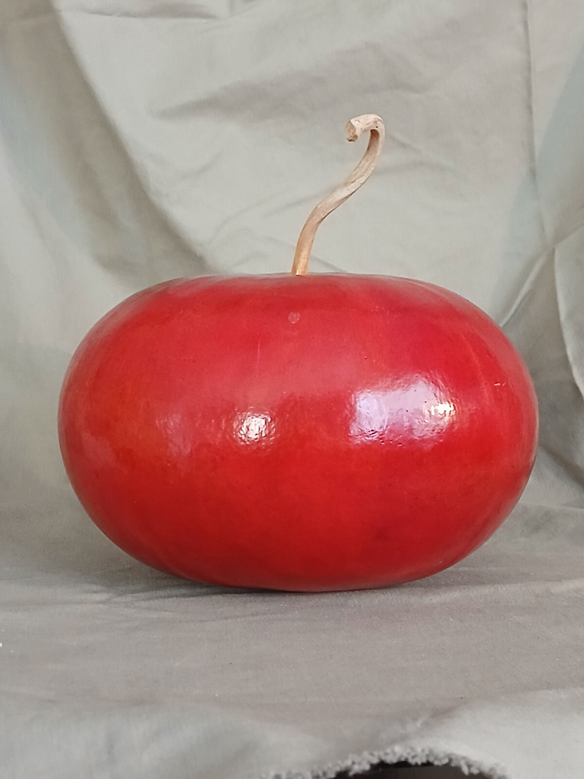 Large Apple Fall Perfect Natural Gourd Dried Decor Painted Red6 x 8 in