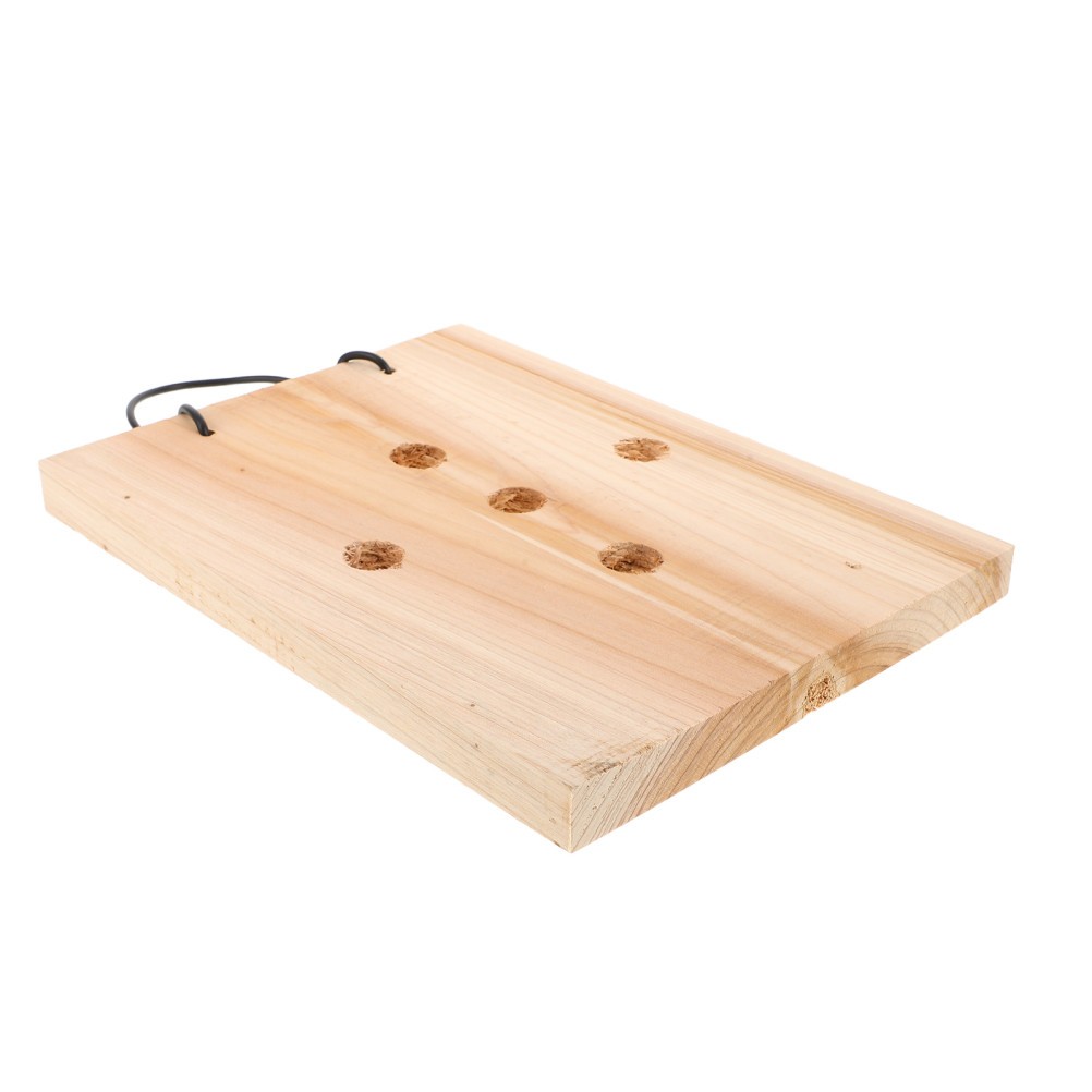 Fern Mounting Board, Wall Planter, Hanging Planter, Board for Vertical Plant