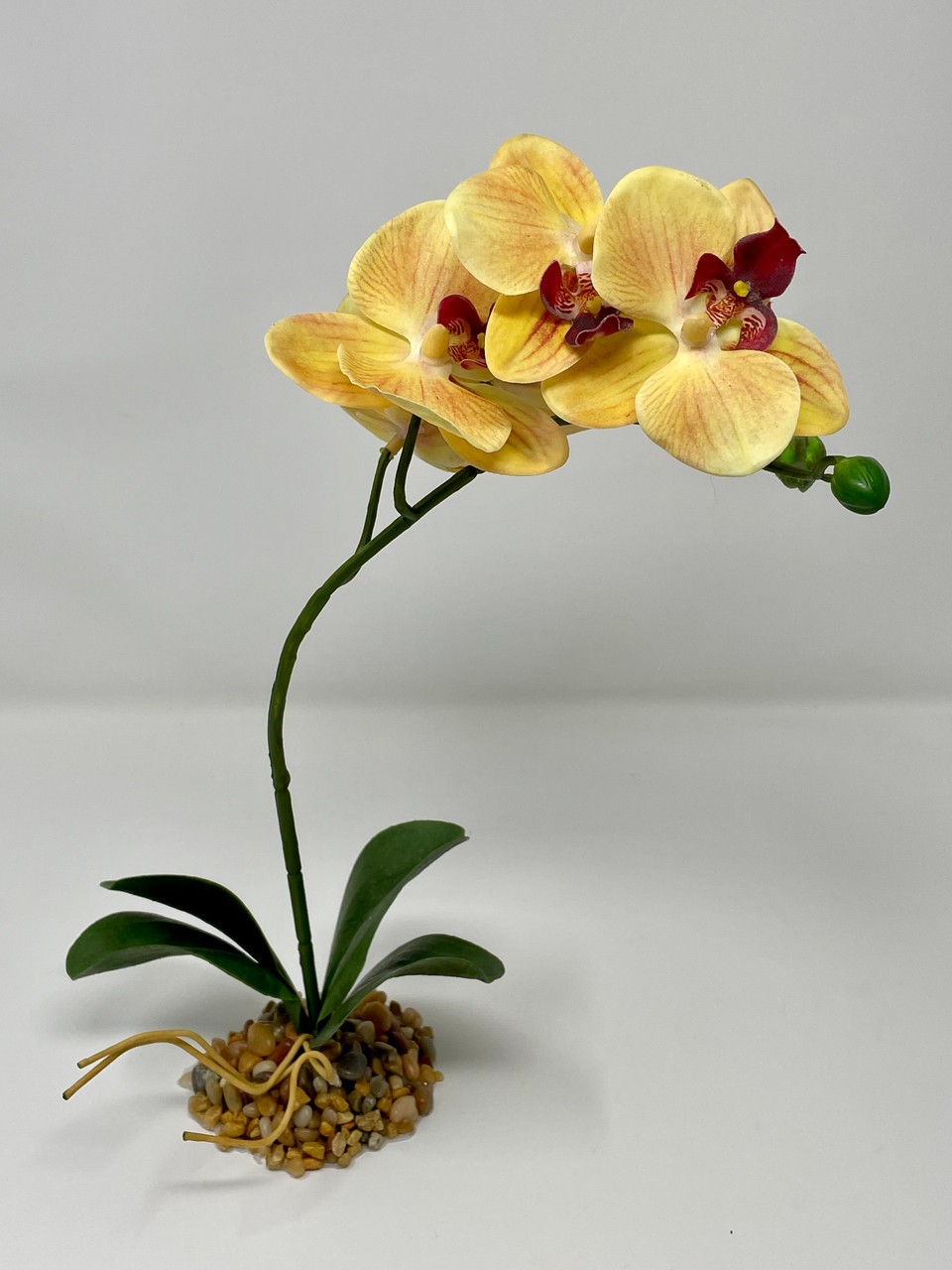 Home Decor 10-14″ Peach Orange PHALAENOPSIS ORCHID Soft Silk flower plant, Stone