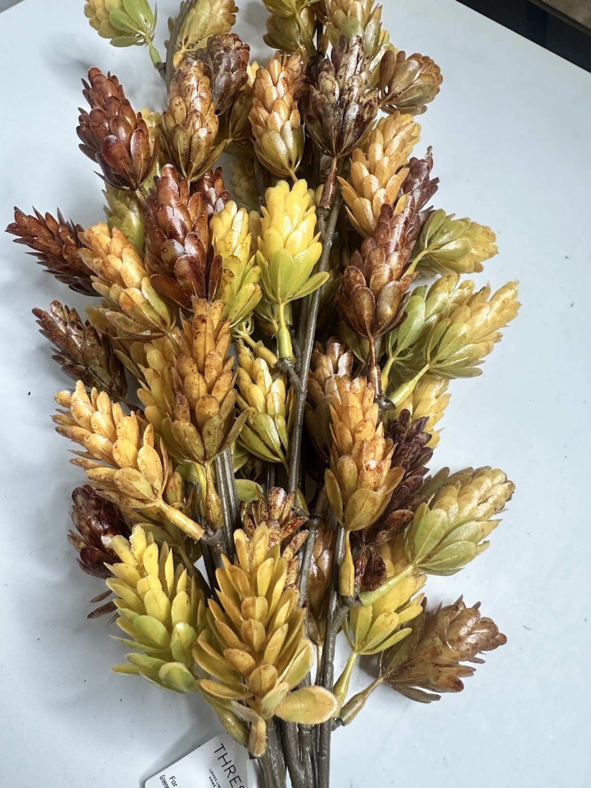 Faux Stem Hops Thistle 2pc Set Indoor Decorative Home Threshold With Magnolia