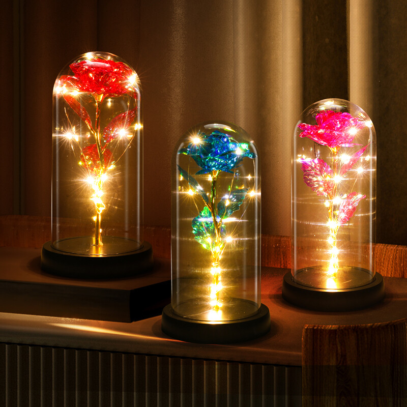 Luz LED rosa en vidrio, regalos para esposa, mujer, novia, regalo de cumpleaños