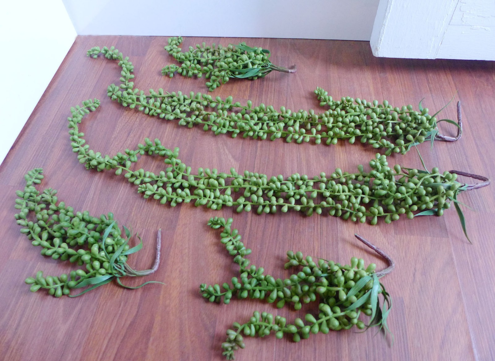 Set of 5 Pcs Pearl Bead Hangings Artificial Plant Plastic Home Wall Decoration
