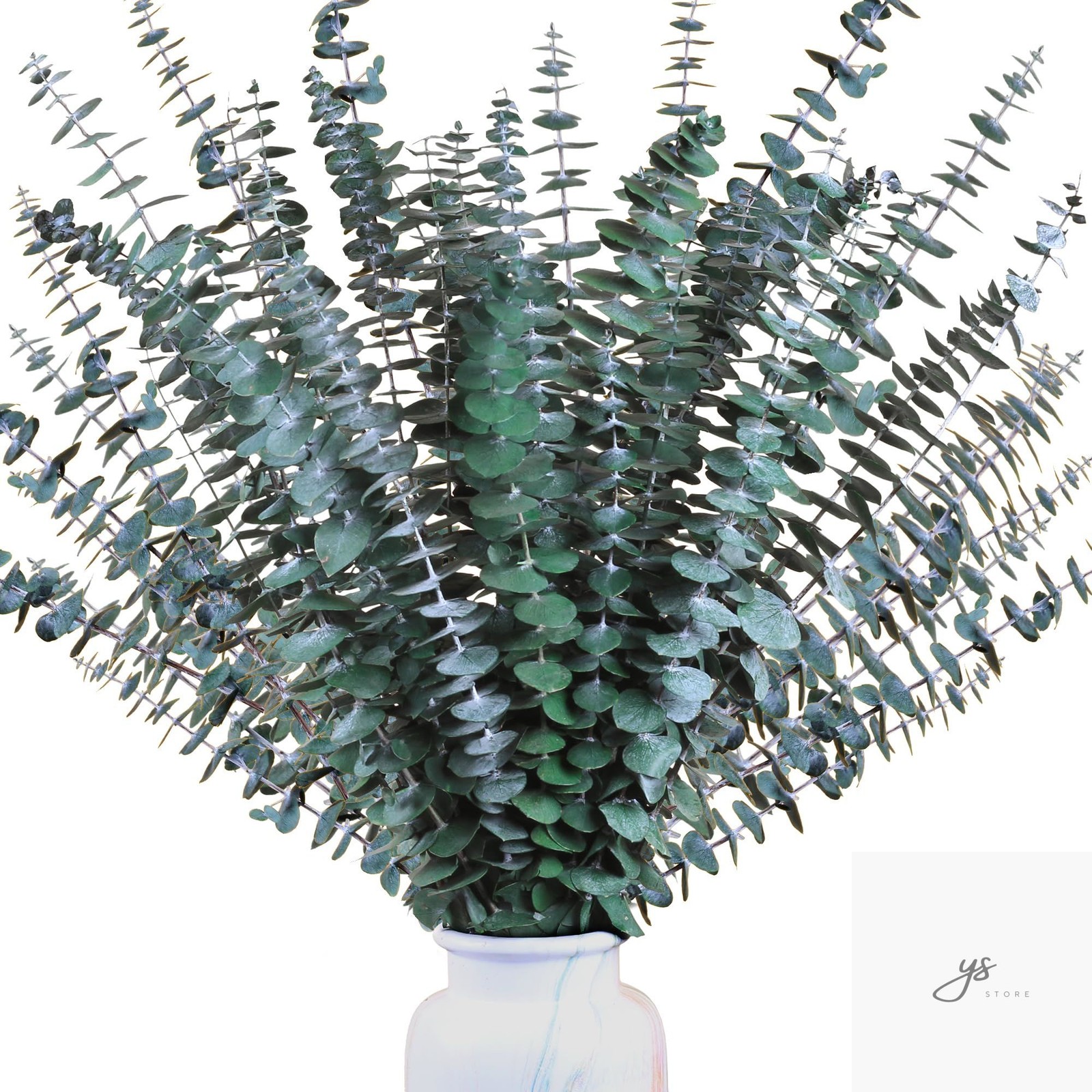 30Pcs Dried Eucalyptus Stems, 17″ Real Preserved Eucalyptus Plant for Shower, Fr