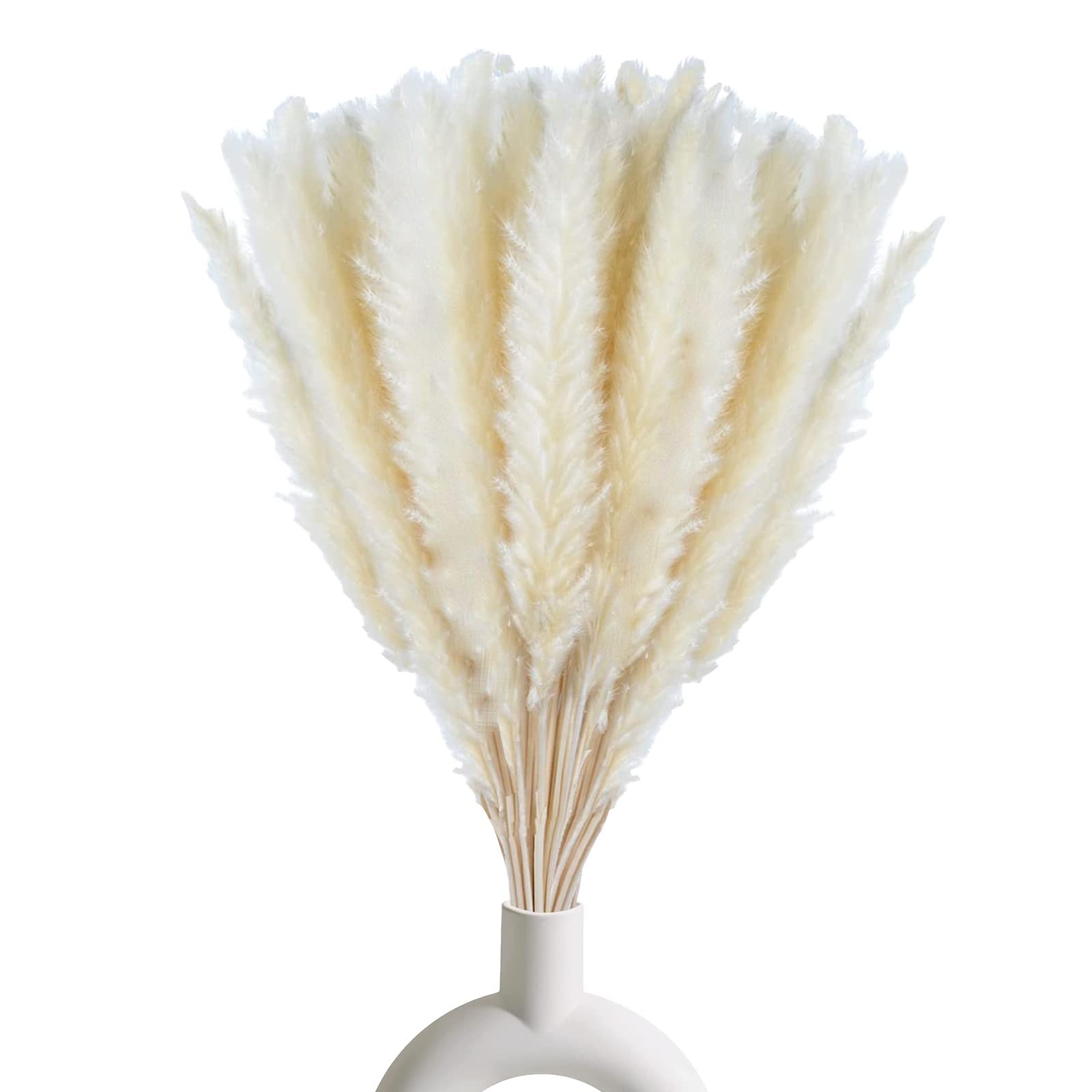 30 PCS 17 inch White Pampas Grass Natural Dried Branches for Home Vase Decor