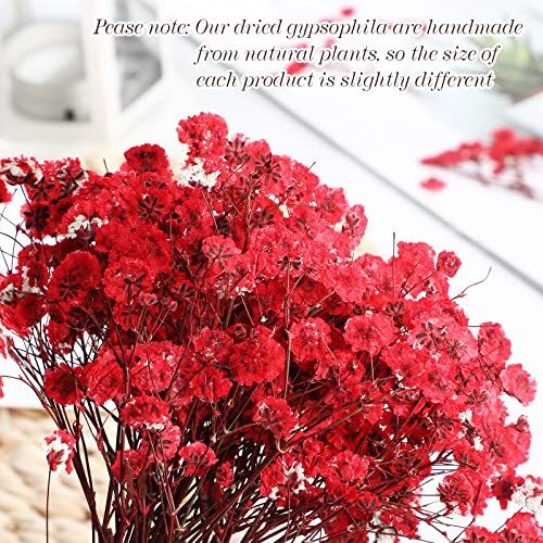 Dried Baby Breath Flowers Red Gypsophila Dried Pressed Flowers 1.97-3.15
