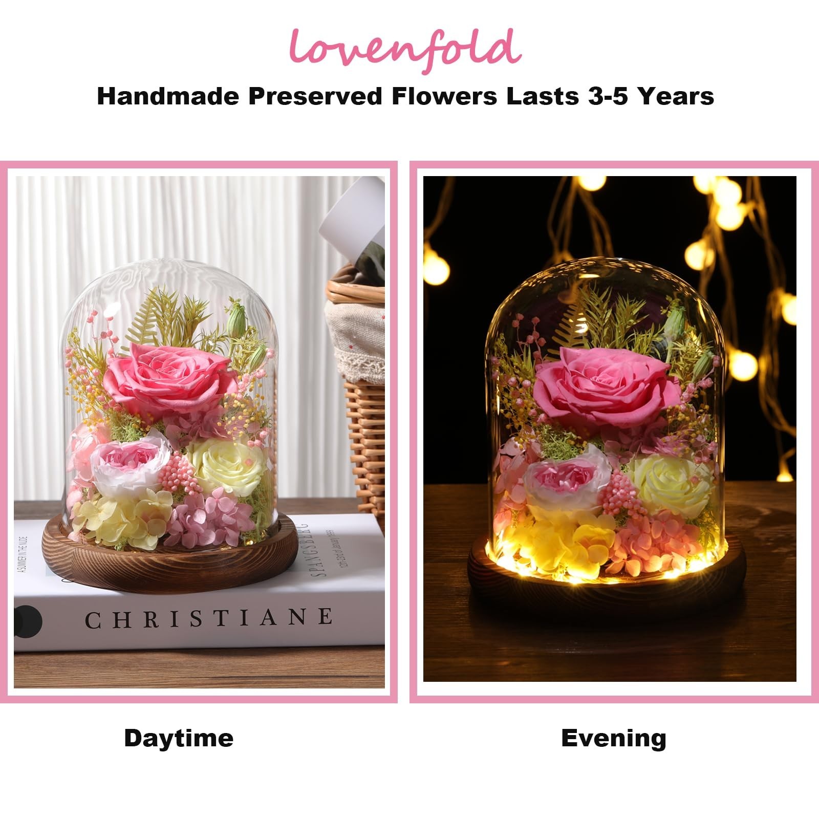 Preserved Pink Roses in Glass Dome with LED Light – Long Lasting Forever Flowers