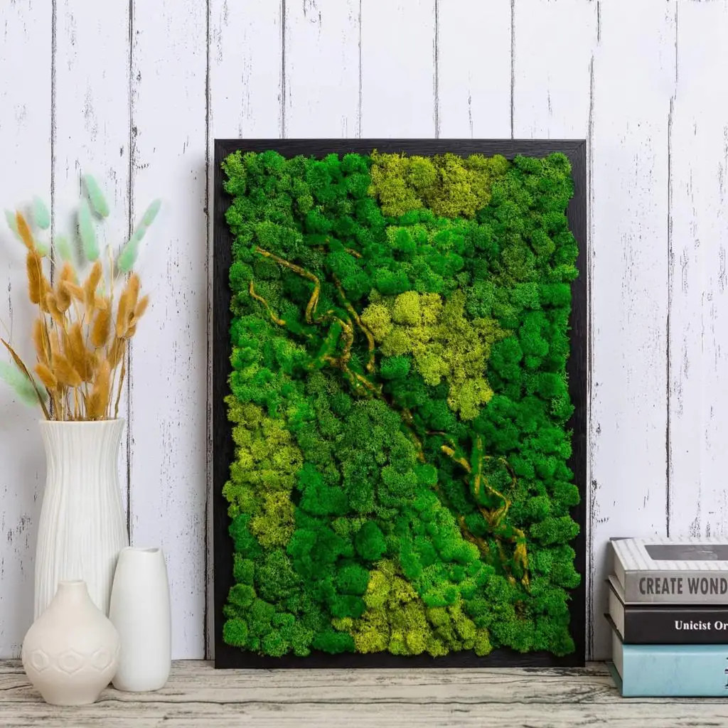 20g/200g Natural Green Colored Moss Simulation Plants Eternal Life Moss Garden H
