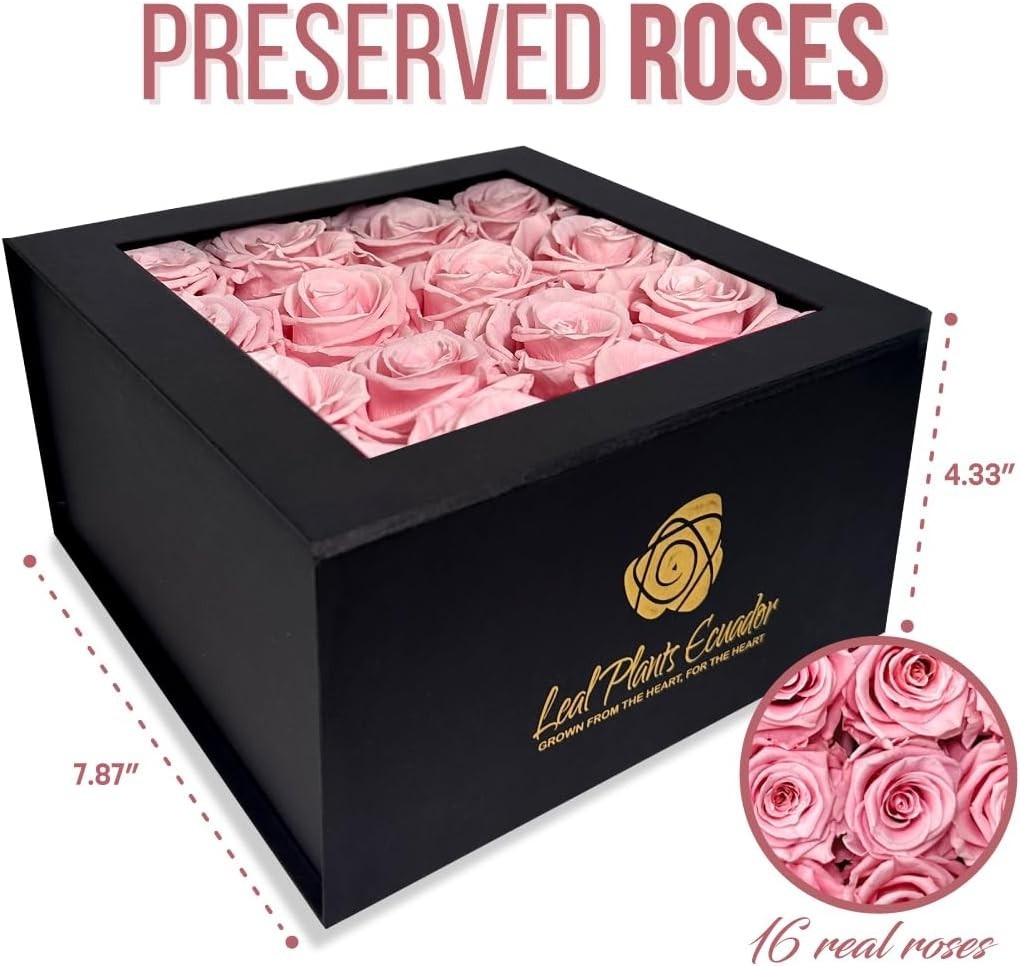 Premium Real Preserved Roses 16 PCS 100% Real Pink Roses Lasting Up to 3 Years