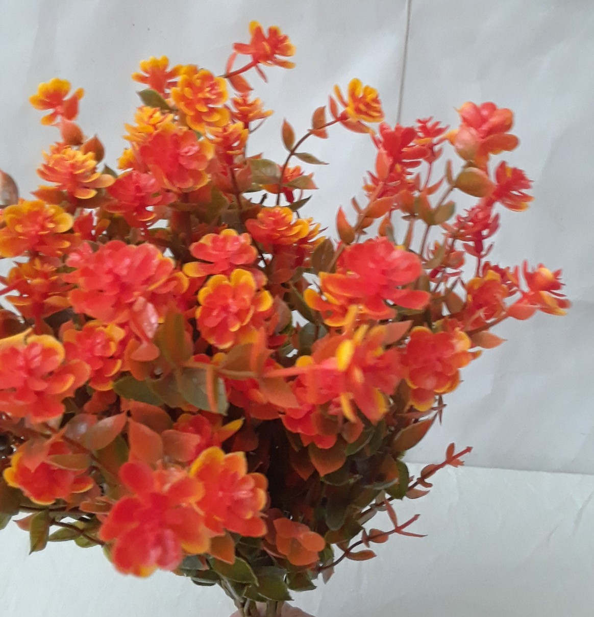 Lot of Four Dried Orange Flowers Decor for Home Deco Art Projects 12″ Bunch