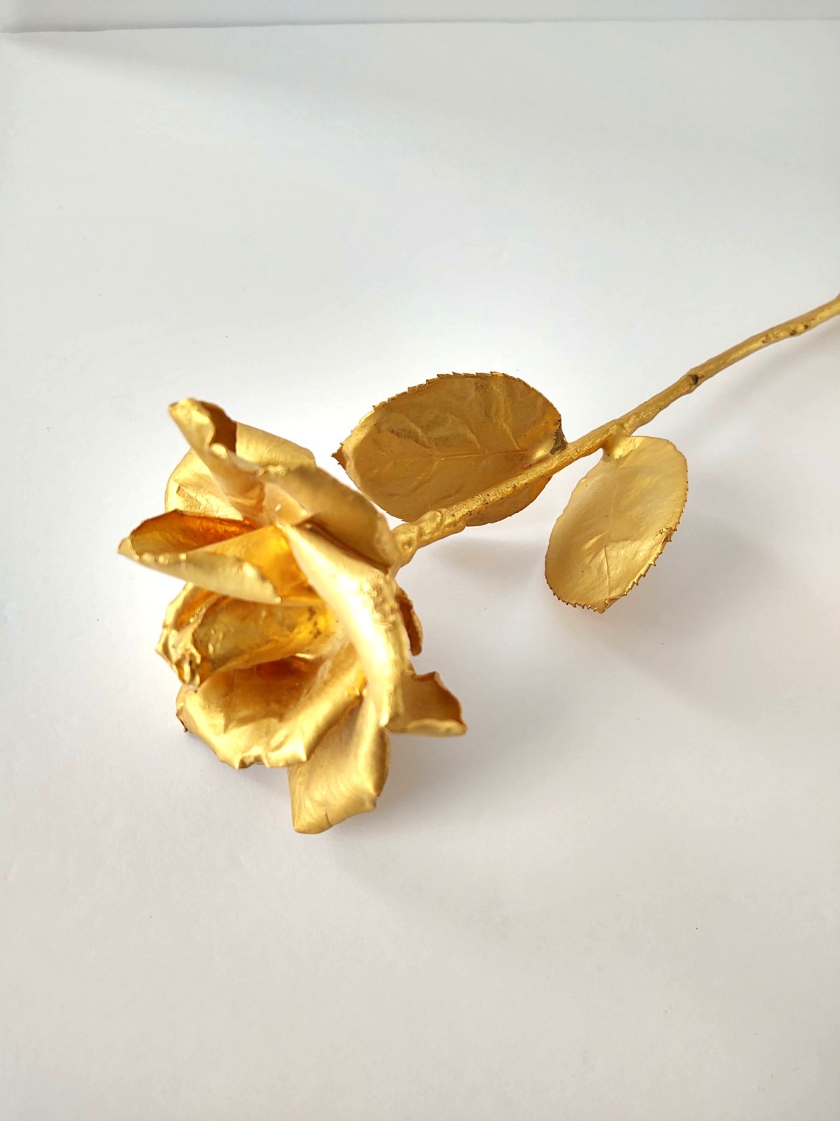 Classic 24K Gold Dipped “Real American Rose” Keepsake – 17.5″ Long