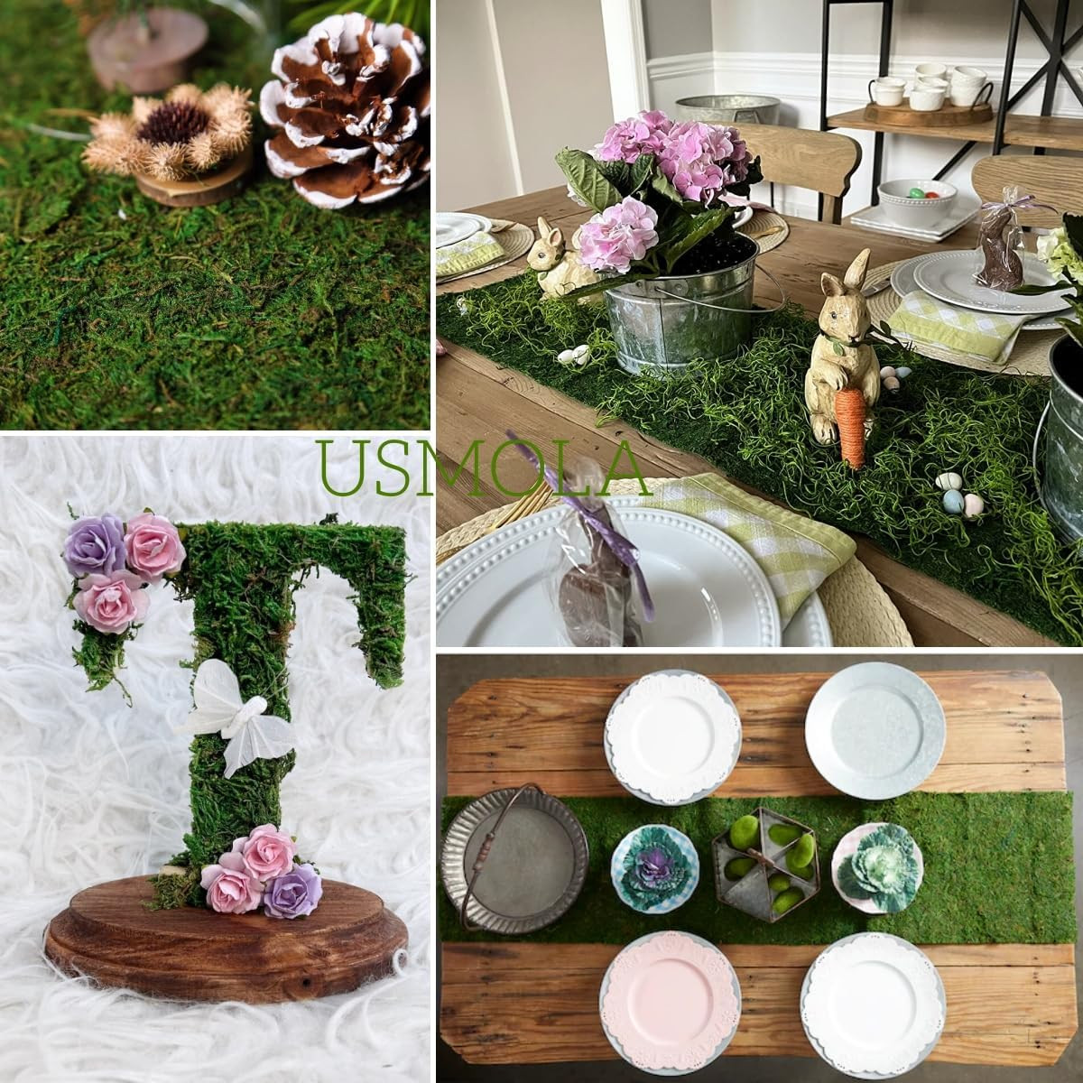 USMOLA Moss Roll, Dried Moss for Crafts, Moss Table Runner for Fairy Gardens, We