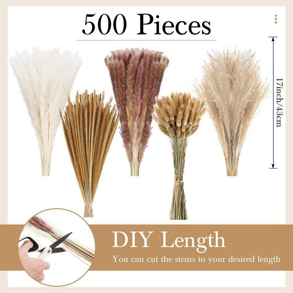 17 in Dried Pampas Grass Decor, Dried Flower Plants Bulk White and Brown Pampas